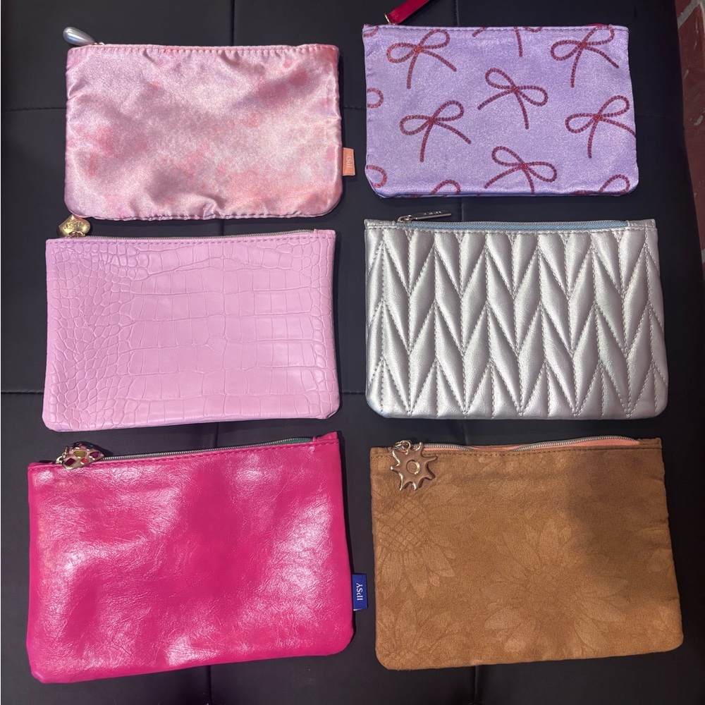 (6) Mixed Pink and Silver IPSY Pouches.